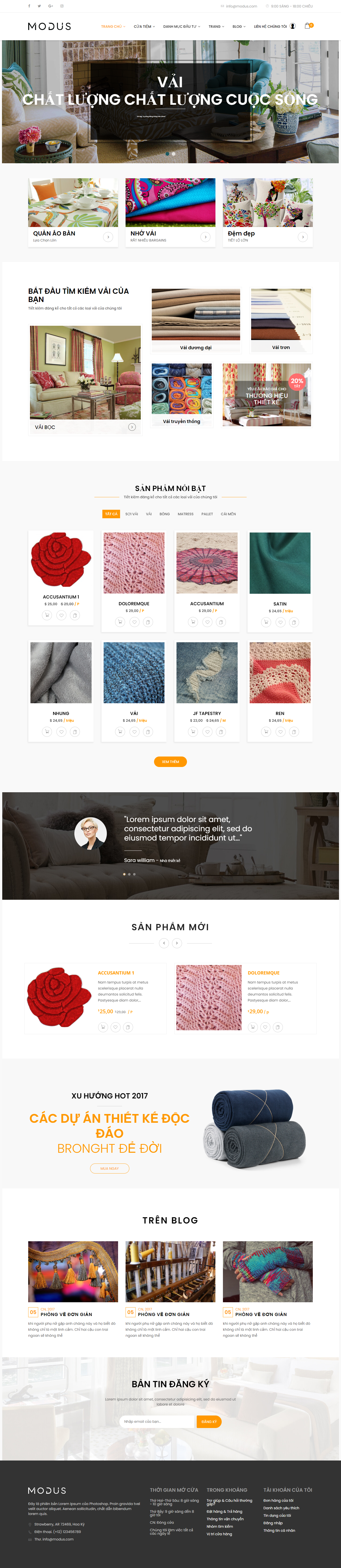 Mẫu website khác 011